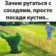 Без описания
