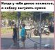 Без описания