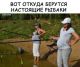 Без описания