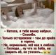 следующее фото