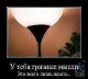 Без описания
