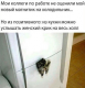 Без описания