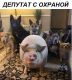 Без описания