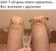 Без описания