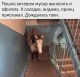 Без описания