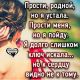 Без описания