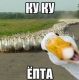 Без описания