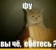 Без описания