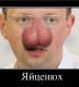 Яйценюх