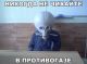 Без описания