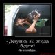Без описания