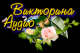 предыдушее фото
