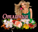 Без описания