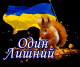Без описания