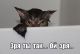 Без описания