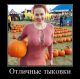 Без описания
