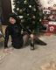 Без описания
