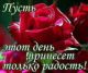 5c1971dfc41e75.552746861545171423_5c1971dfc41f95.31574493.jpg